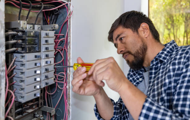 Best Local Electrician Companies  in Forest Heights, TX